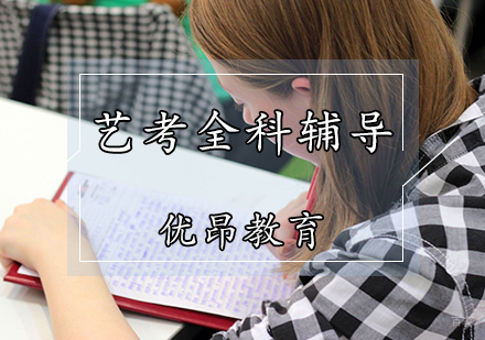 艺考全科辅导班