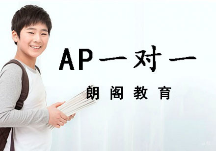 AP培训一对一课程
