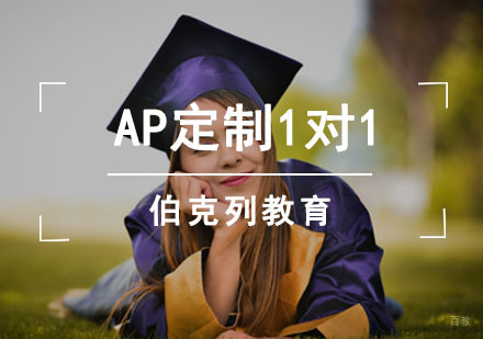 AP定制1对1培训课程
