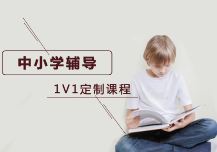 中小学VIP1V1定制课程