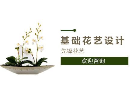 基础花艺设计培训