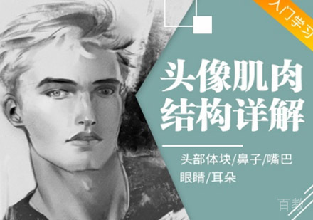 基础头像结构绘画训练营