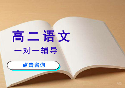 高二语文一对一辅导课程