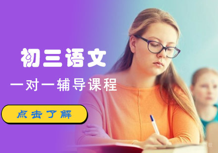 初三语文一对一辅导课程