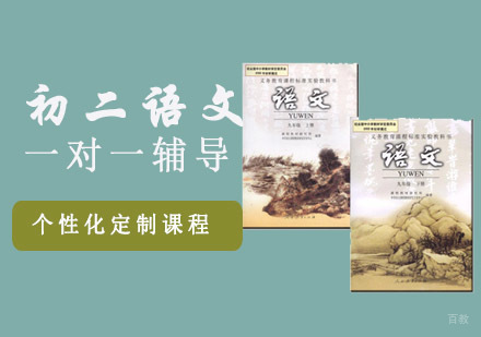 初二语文一对一辅导课程