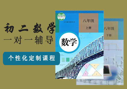 初二数学一对一辅导课程