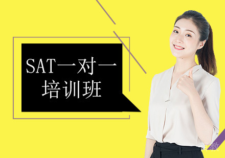 SAT一对一培训班
