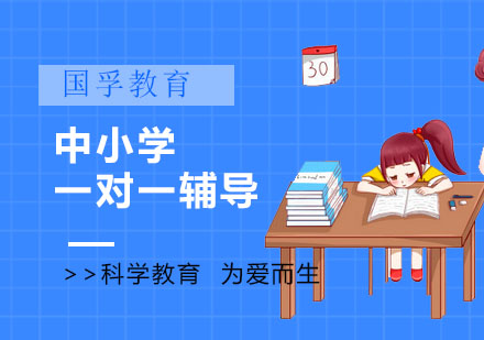 中小学一对一辅导