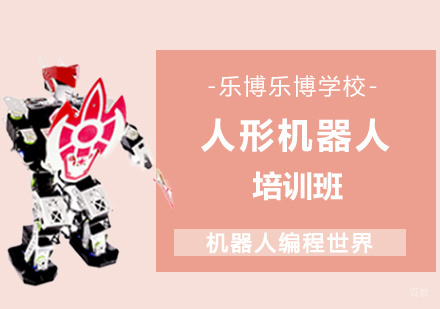 人形机器人培训班