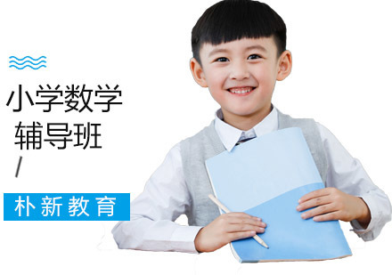 小学数学辅导