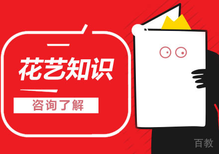 花艺师最爱用的花材，你值得收藏 