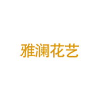 陈老师