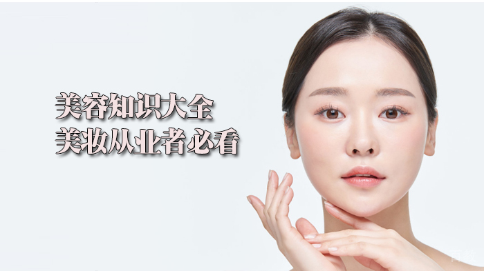 美容知识大全--美妆从业者必看 