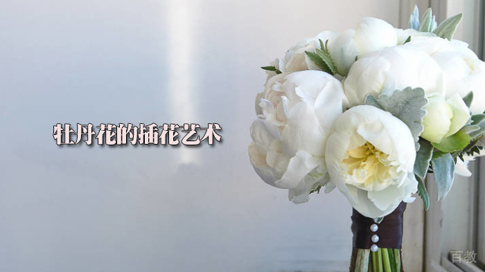 牡丹花的插花艺术