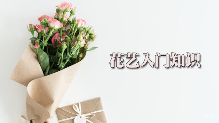 花艺入门知识