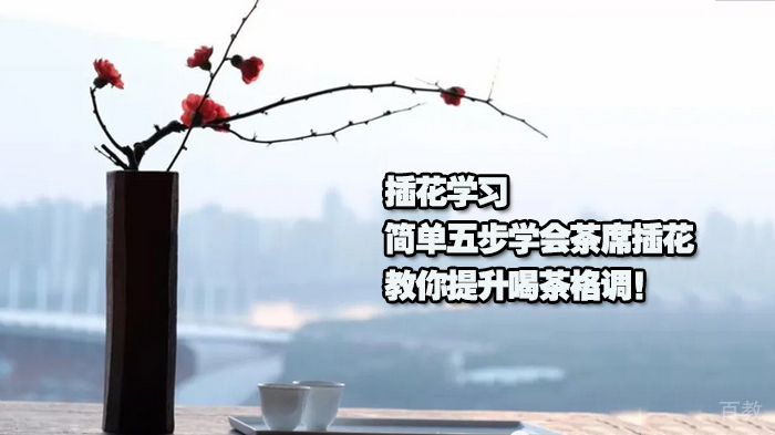 插花学习|简单五步学会茶席插花，教你提升喝茶格调！