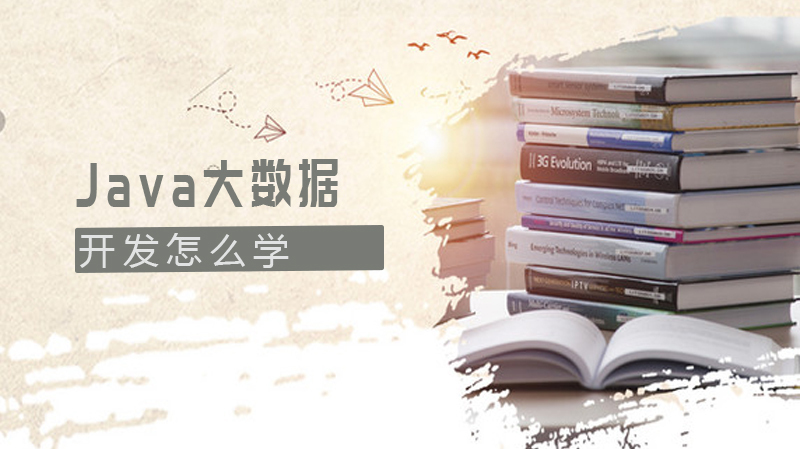 Java大数据开发怎么学