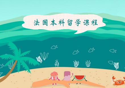 法国本科留学课程