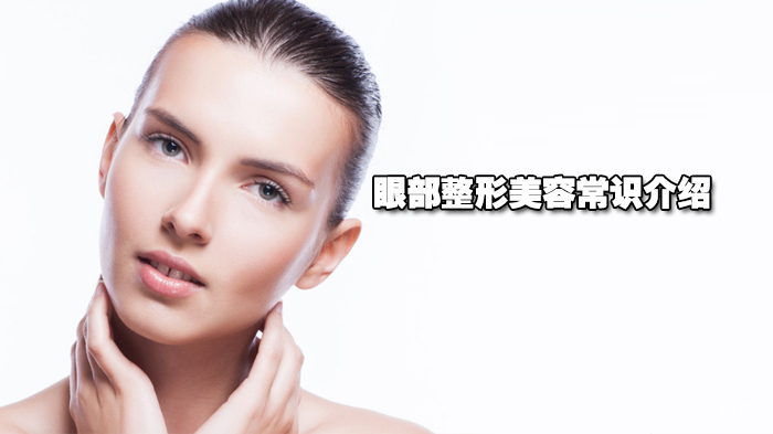 眼部美容常识介绍 