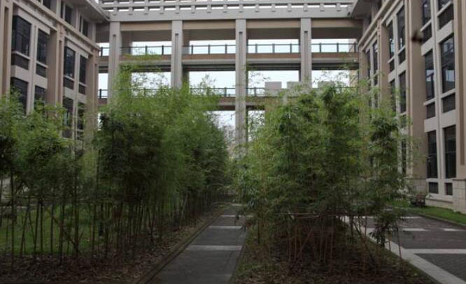 上海应用技术大学国际高中缤纷庭院