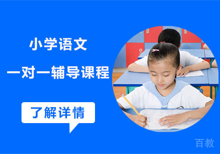 深度解析：小学语文一对一辅导如何提升基础能力