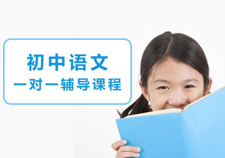 初中语文一对一辅导课程