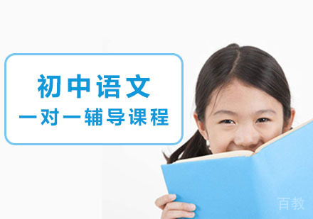 初中语文高效提升：卓辅嘉学一对一个性化辅导全解析