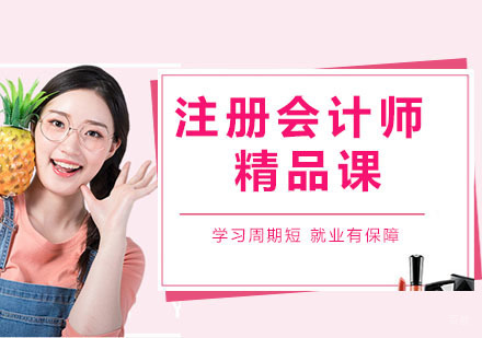 注册会计师精品课