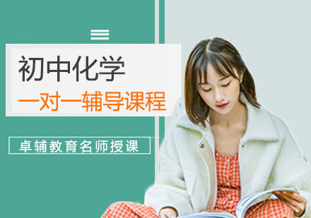重庆初三化学一对一专家教学深度解析