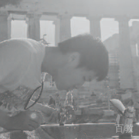 Francis Fu
