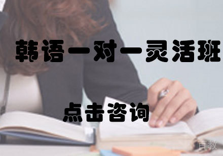 韩语一对一灵活班