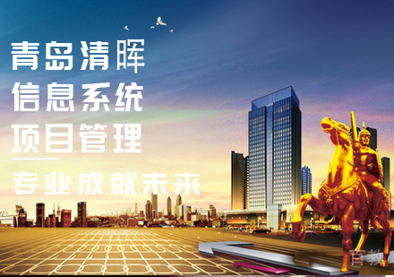 信息系统项目管理课程
