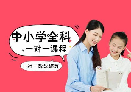 中小学全科一对一辅导课程