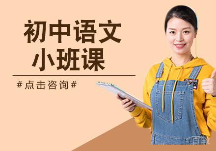 初中语文小班课