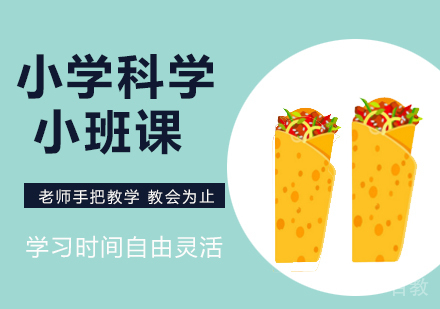 小学科学同步小班课