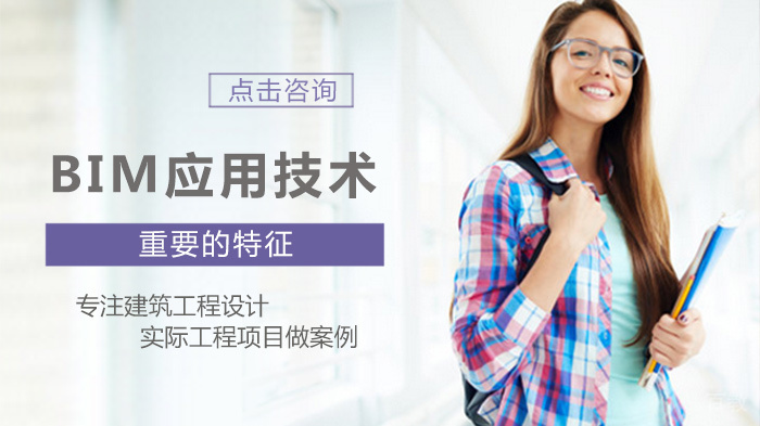 BIM应用技术重要的特征 