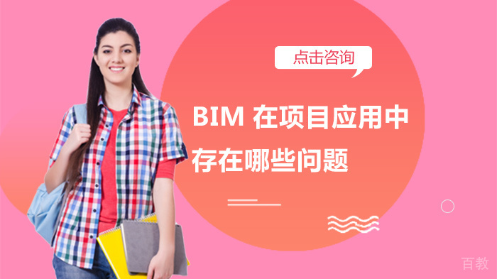 BIM在项目应用中存在哪些问题