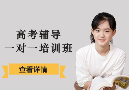 高考辅导一对一培训班