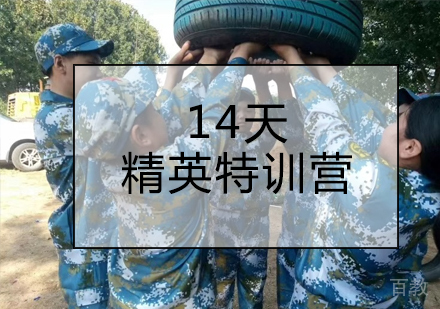 14天精英特训营