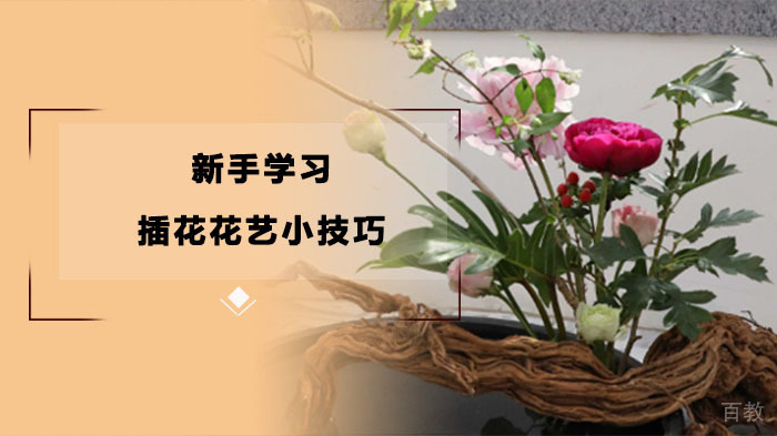 新手学习插花花艺的小技巧-武汉花屿鹿花艺培训学校