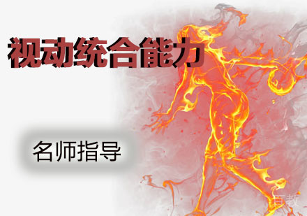 视动统合能力课程.