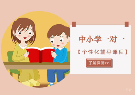 中小学一对一个性化辅导课程