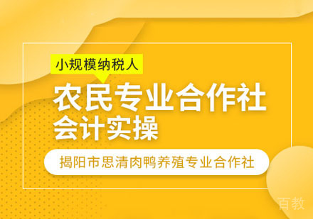 农民专业合作社会计实操课程