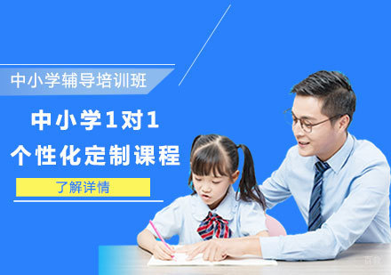 中小学1对1个性化定制课程