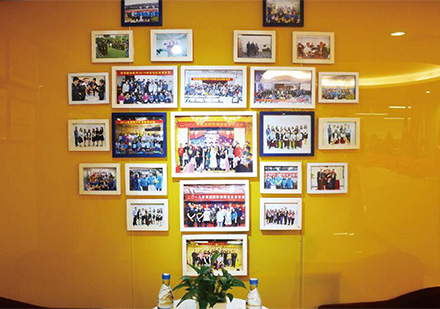 学校活动照片展示墙