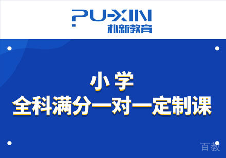 小学全科满分一对一定制培训班