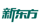 杭州新东方考研网课