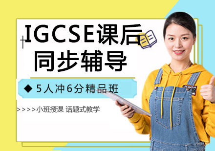 IGCSE课后同步辅导