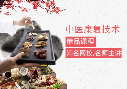 中医康复技术课程