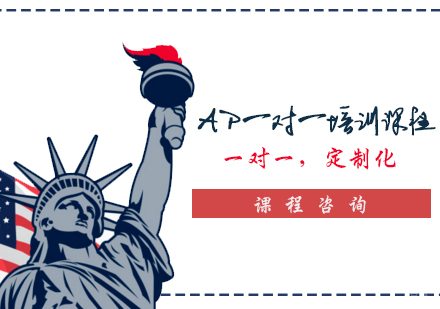 AP一对一培训课程